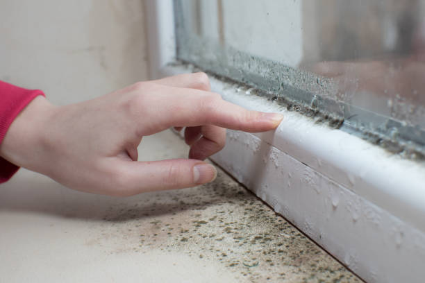 Mold Remediation for Rental Properties in Eagleview, PA