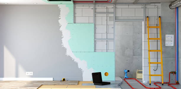 Professional Mold Removal in Eagleview, PA