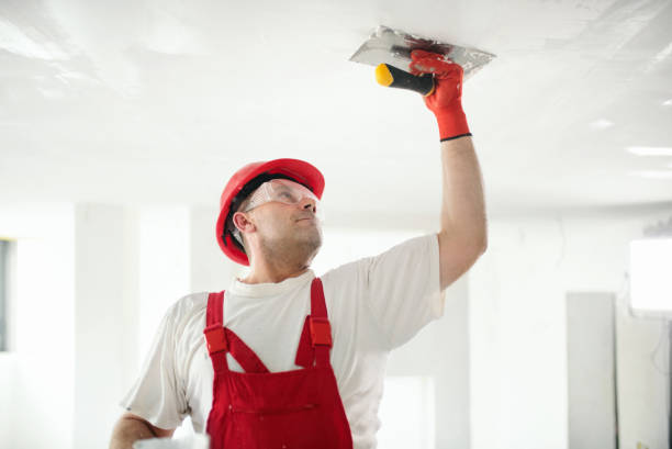 Best Basement Mold Removal  in Eagleview, PA