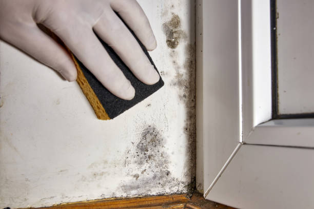 Dehumidification Services in Eagleview, PA