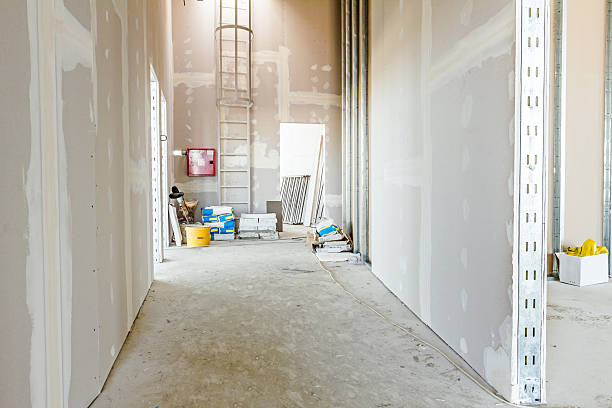 Biohazard Mold Removal in Eagleview, PA